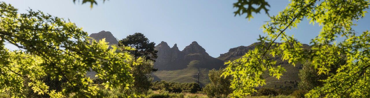 The Helderberg mountains are Longfield's  stunning protective backdrop