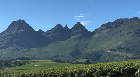 Magnificent Helderberg mountains tower above vineyards up to Longfield.