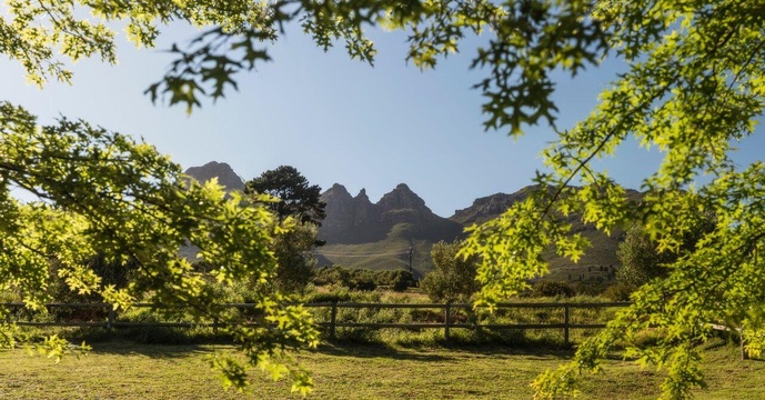The Helderberg mountains are Longfield's protective backdrop