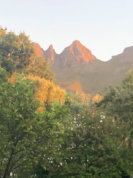 The mighty Helderberg from the garden at Longfield 