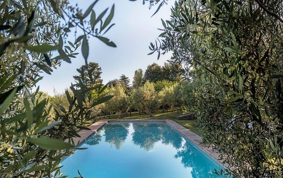 A inviting pool in the olive grove for any time of day dipping